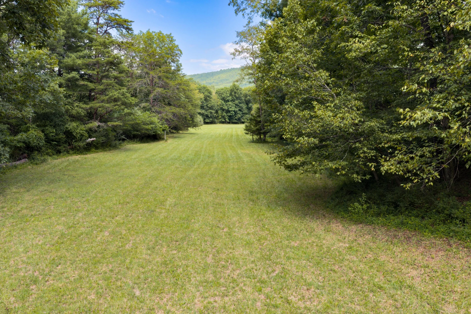 125 Great North Mountain Dr - Photo 6