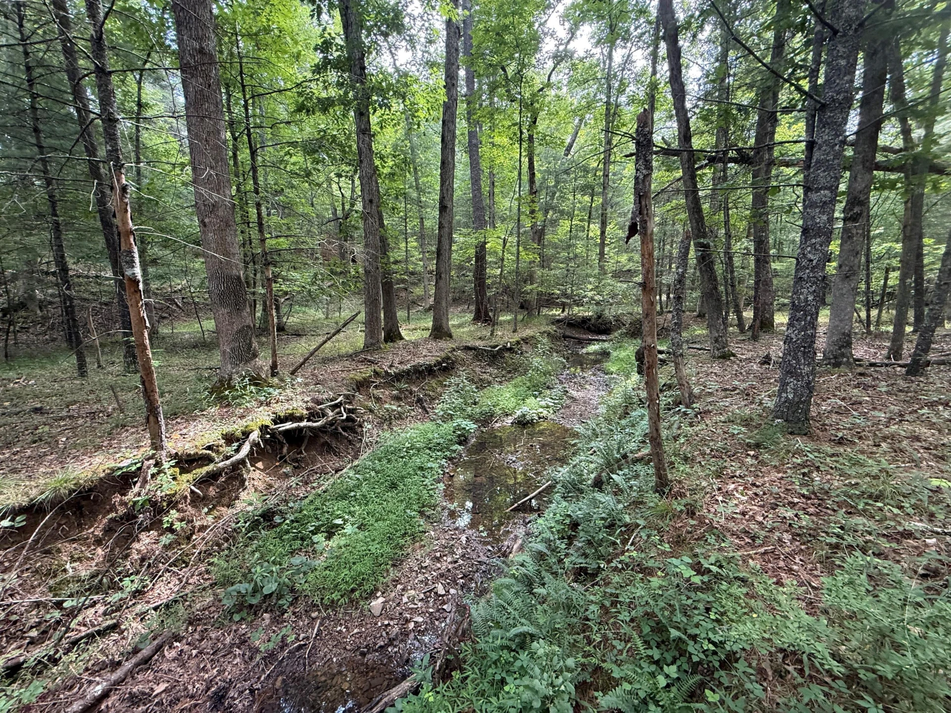 125 Great North Mountain Dr - Photo 35