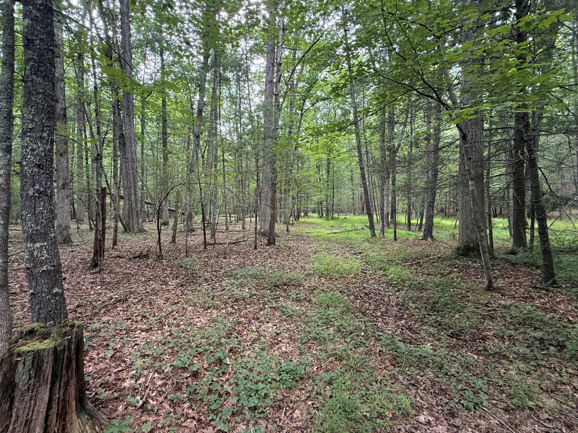 125 Great North Mountain Dr - Photo 37