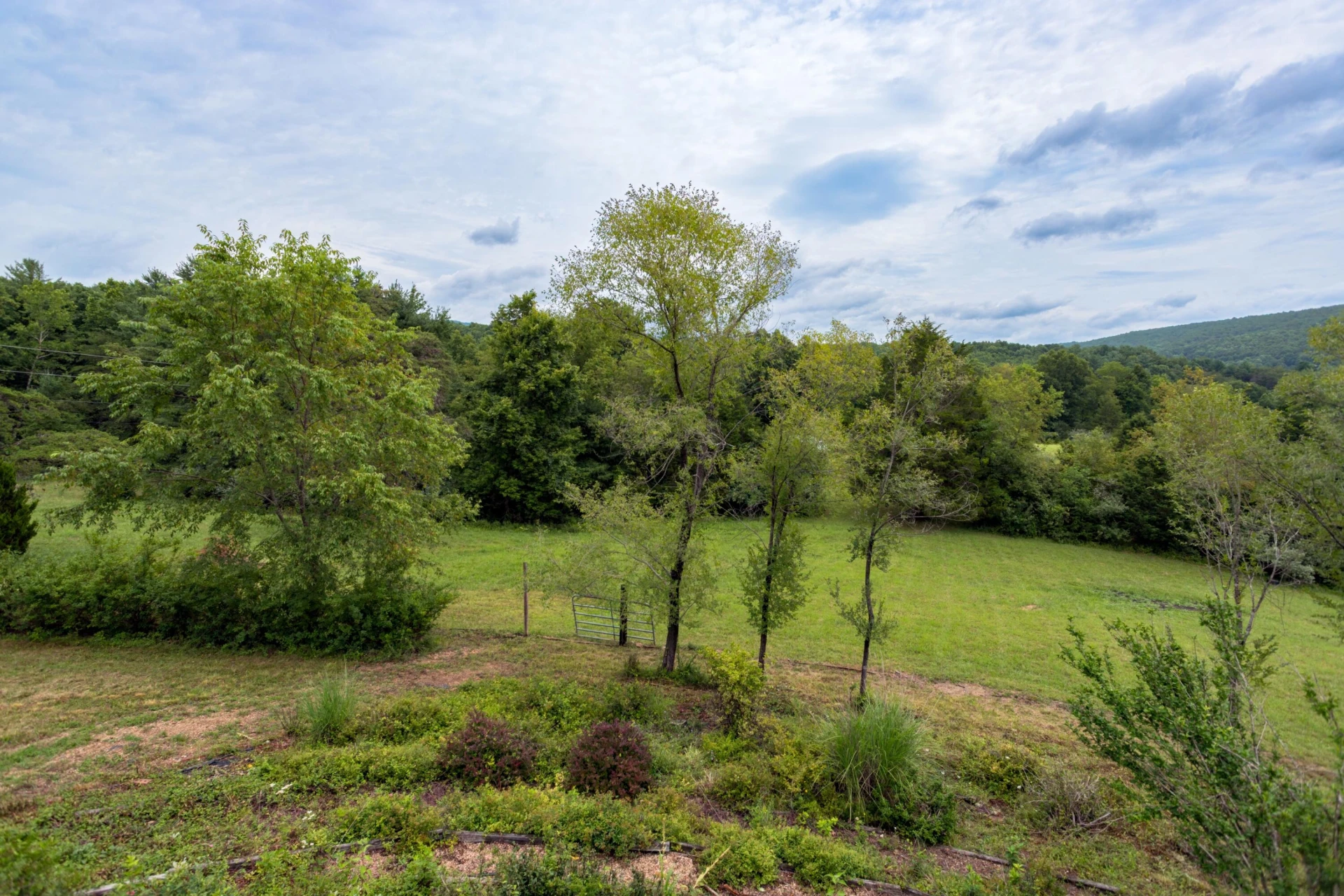 125 Great North Mountain Dr - Photo 41