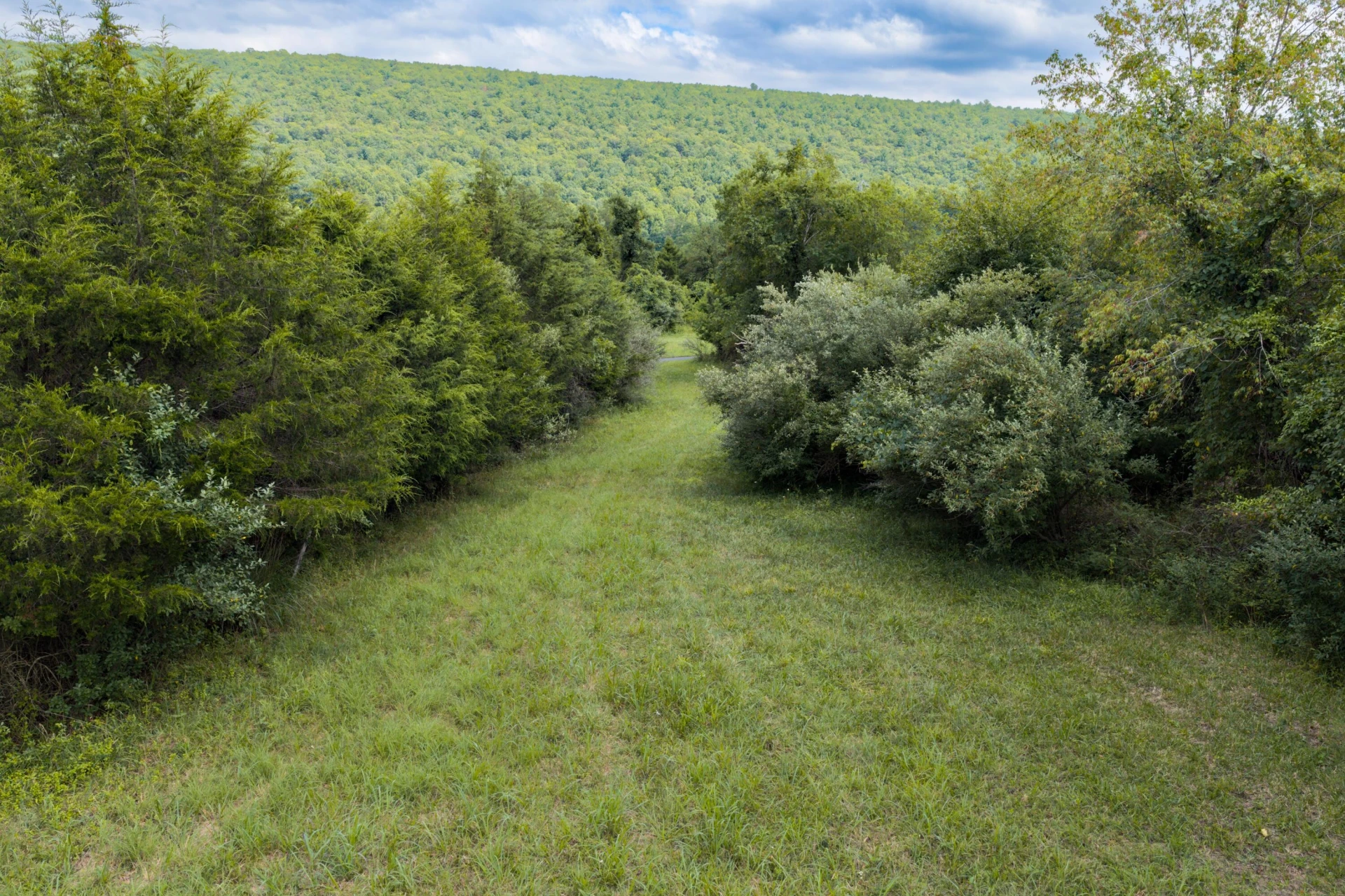 125 Great North Mountain Dr - Photo 43