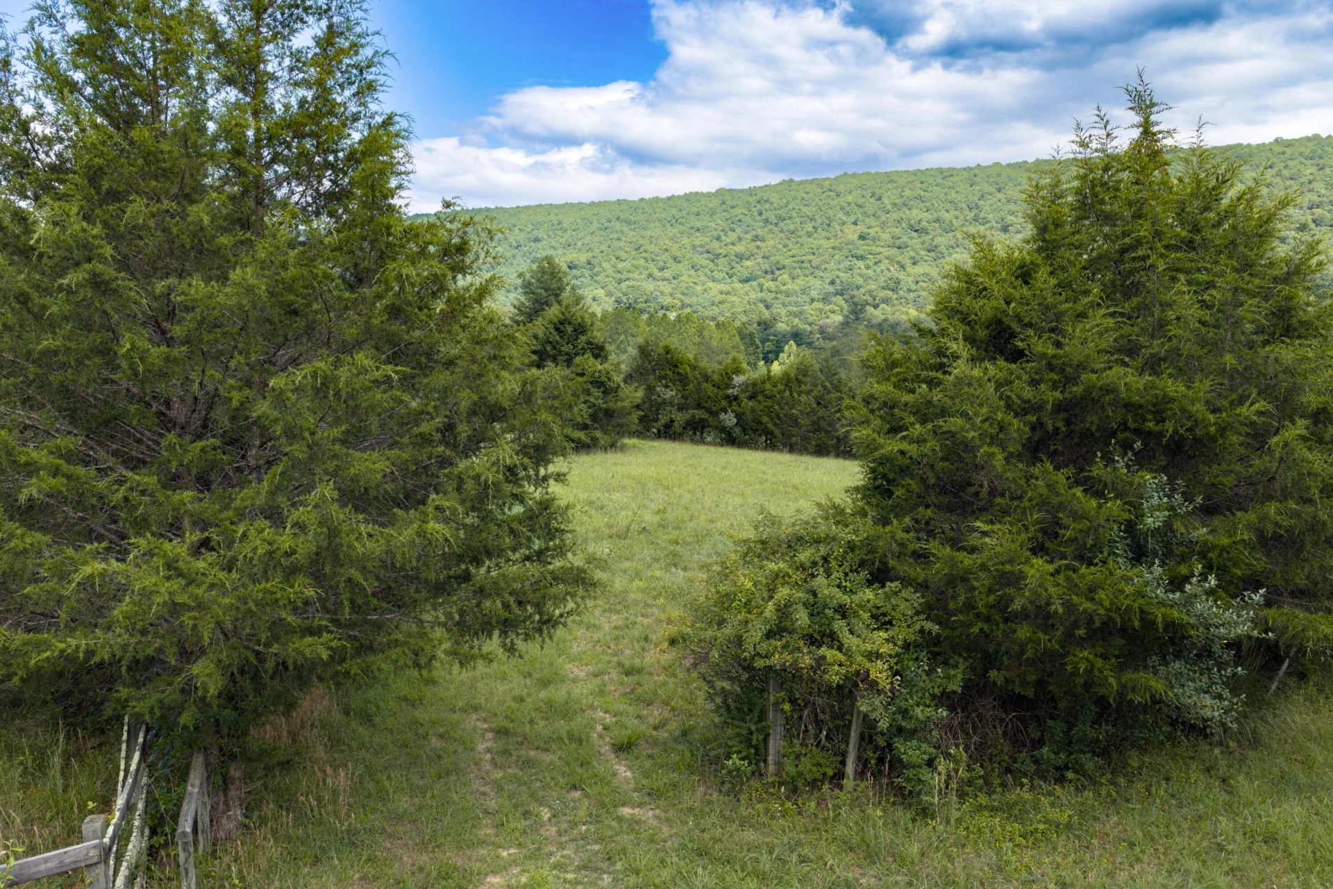 125 Great North Mountain Dr - Photo 44
