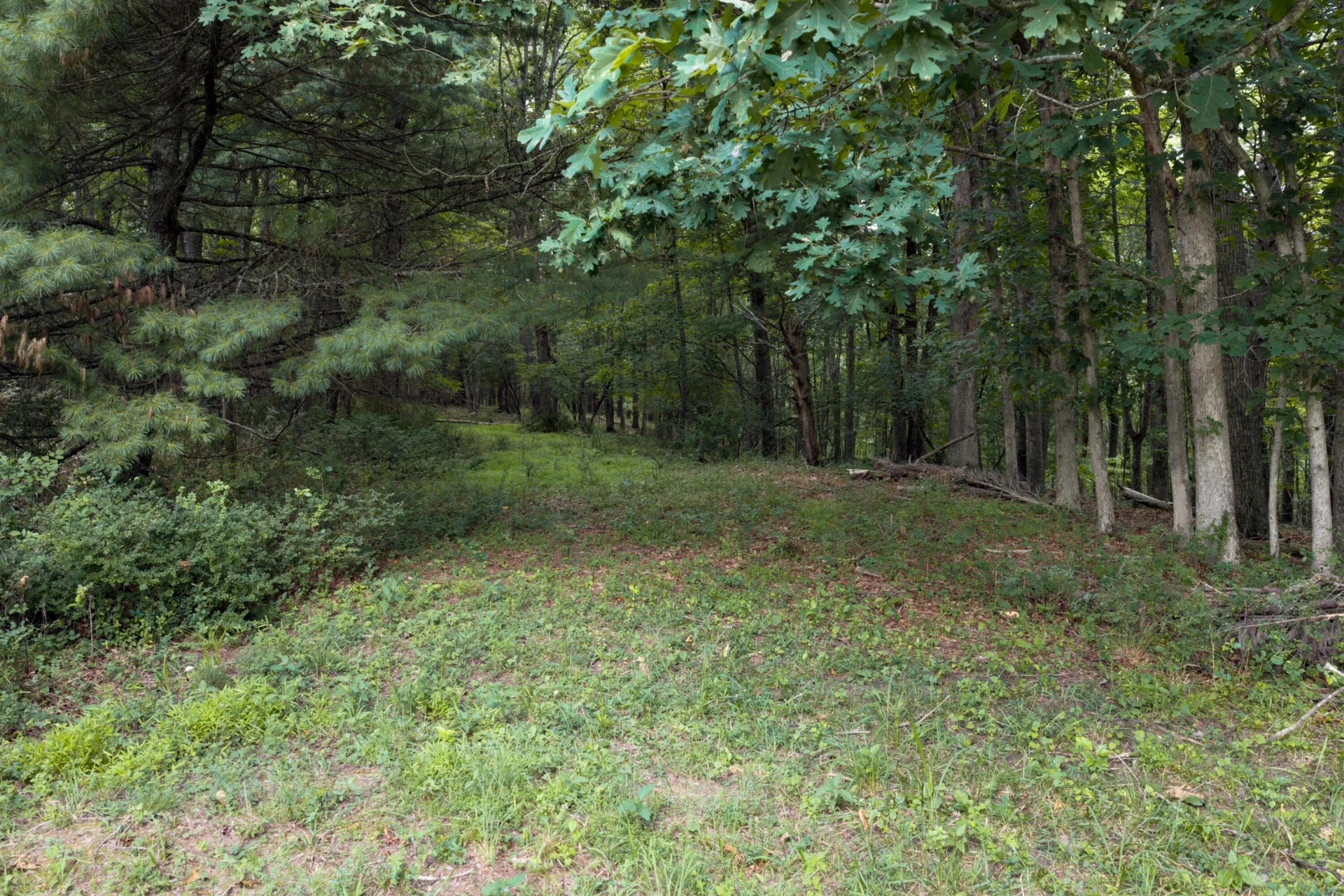 125 Great North Mountain Dr - Photo 45