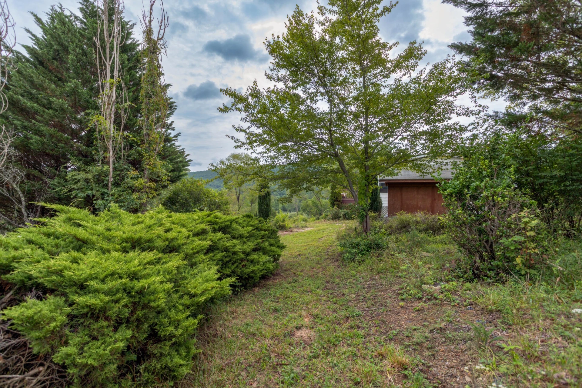 125 Great North Mountain Dr - Photo 46