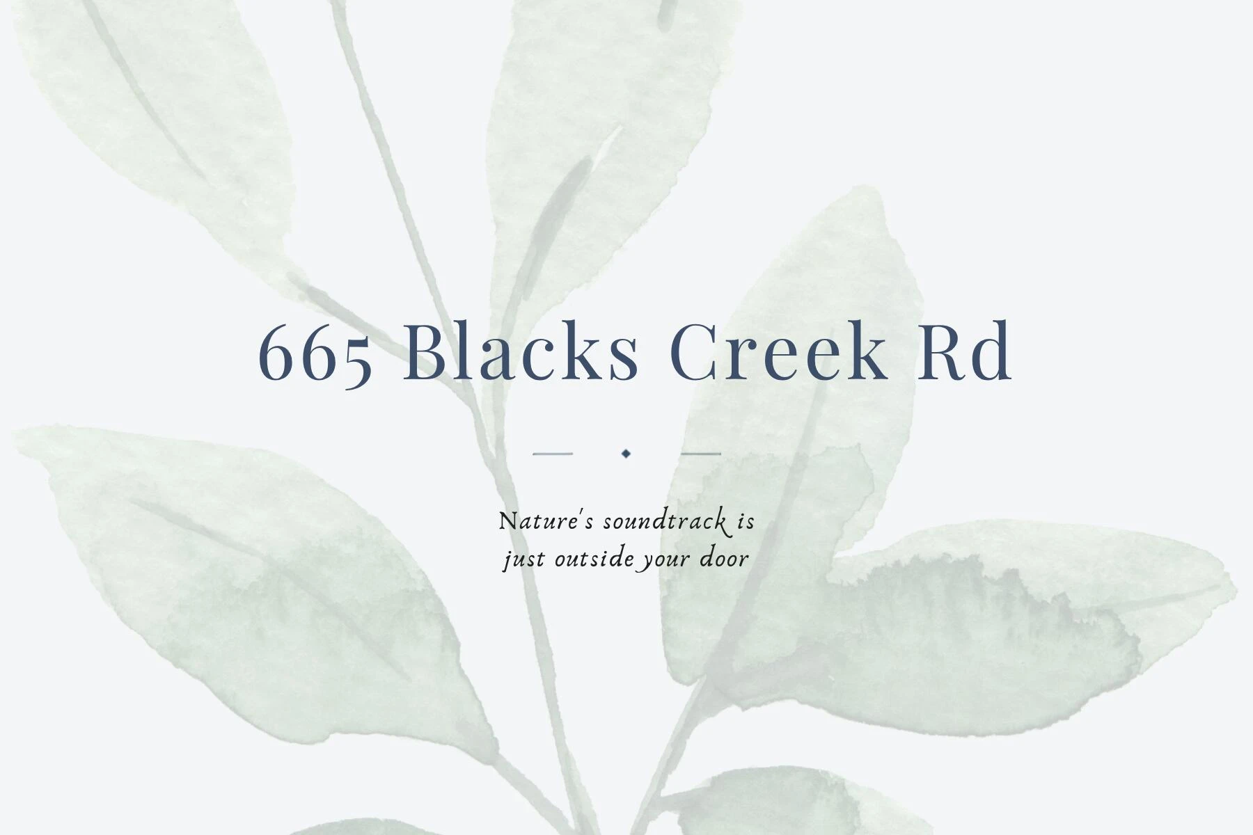 665 Blacks Creek Rd - Photo 47