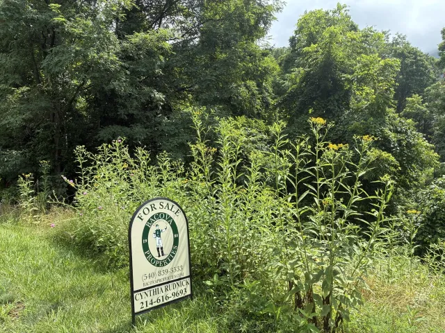 SM Lot #41 Falconry Ridge, Hot Springs, VA, 24445