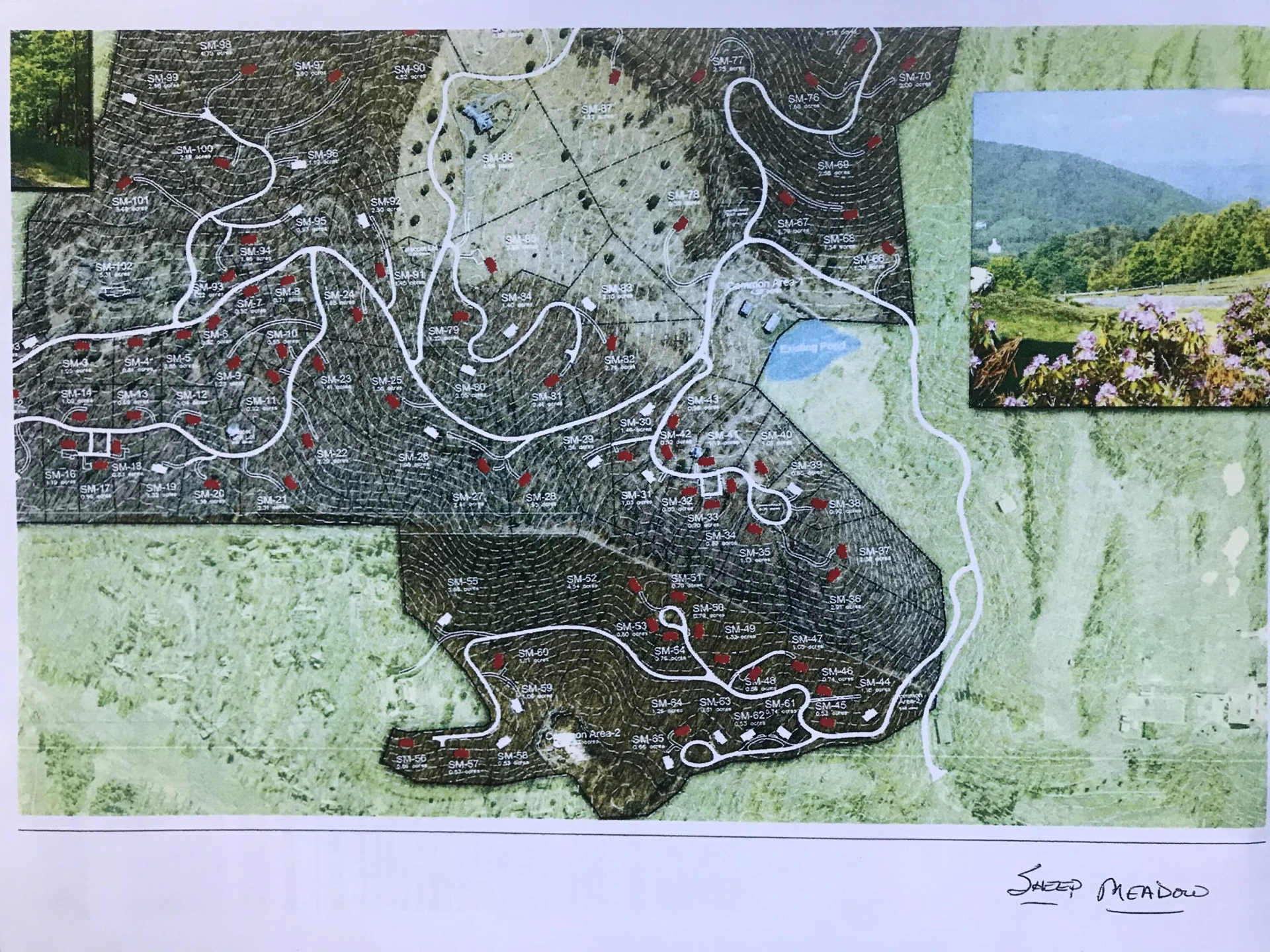 SM Lot #41 Falconry Ridge - Photo 4