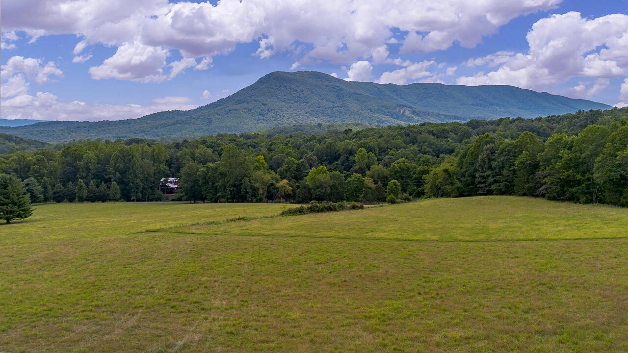 1152 Hayslette Rd - Photo 2