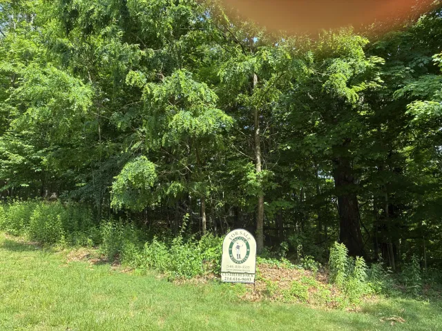 SM #31 Falconry Ridge, Hot Springs, VA, 24445