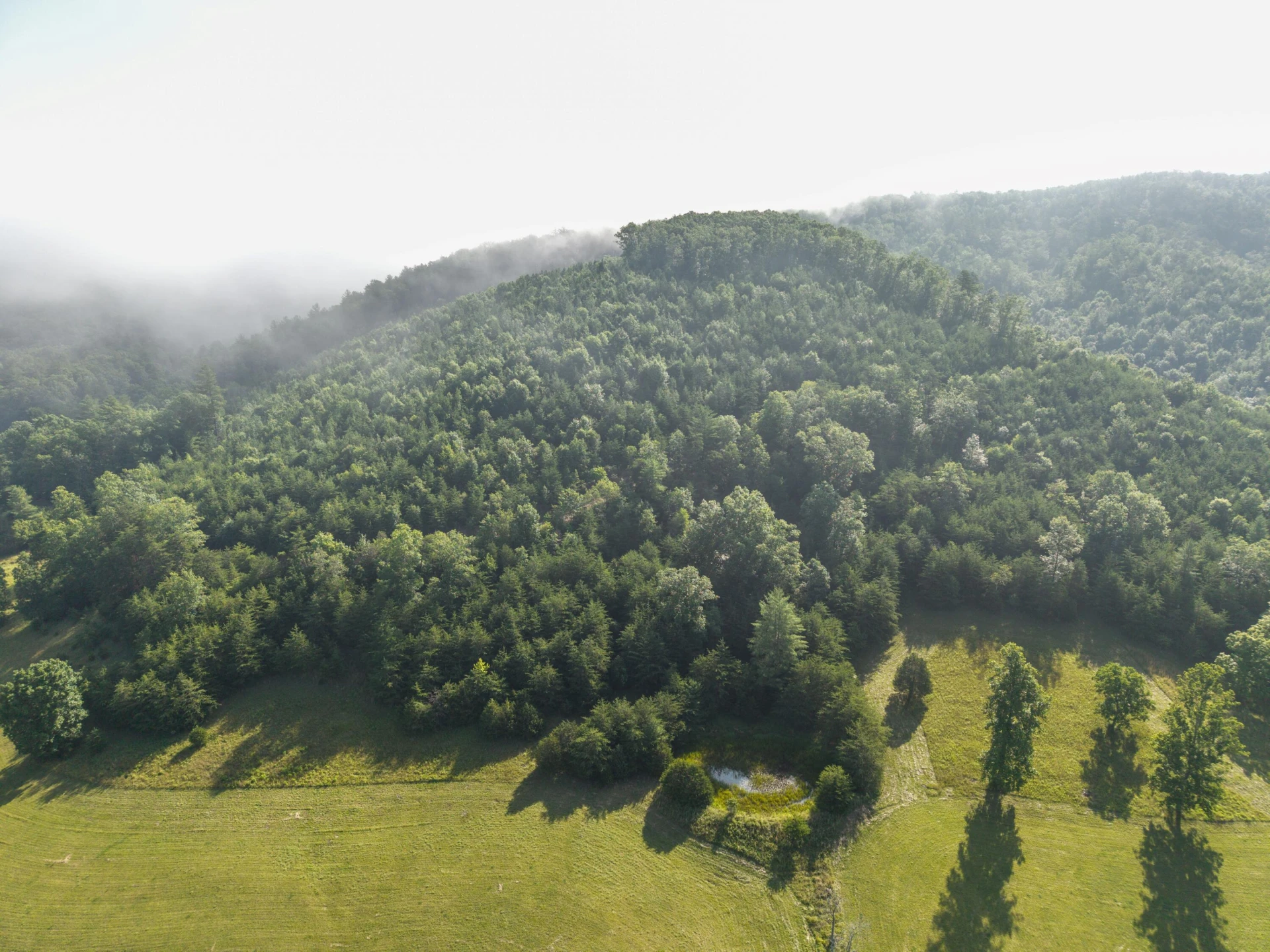 0 Blue Spring Run Rd - Photo 2
