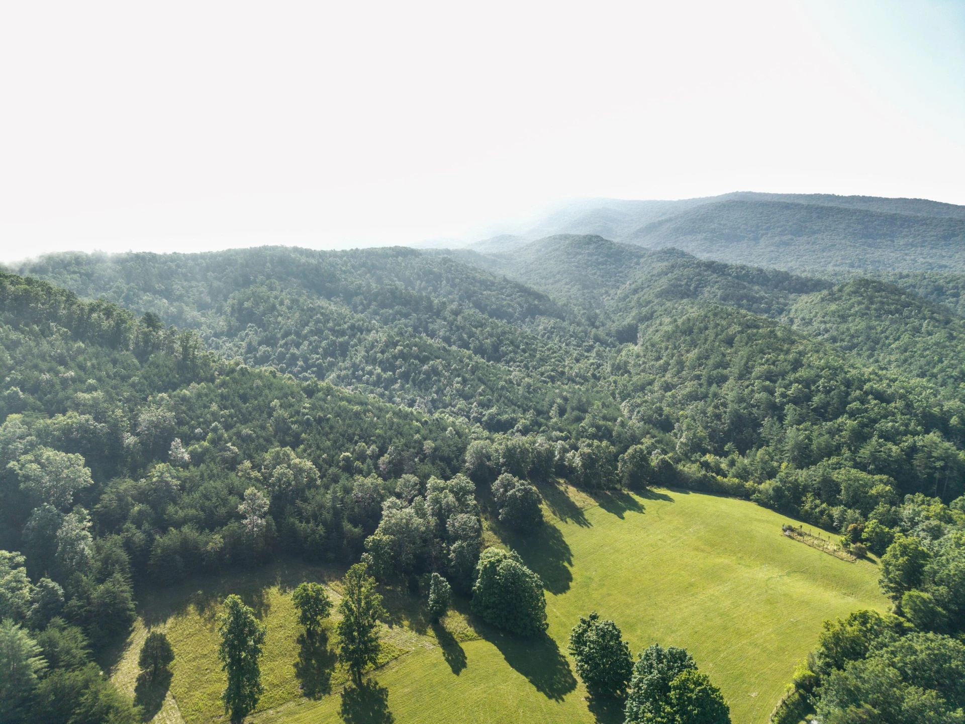 0 Blue Spring Run Rd - Photo 4