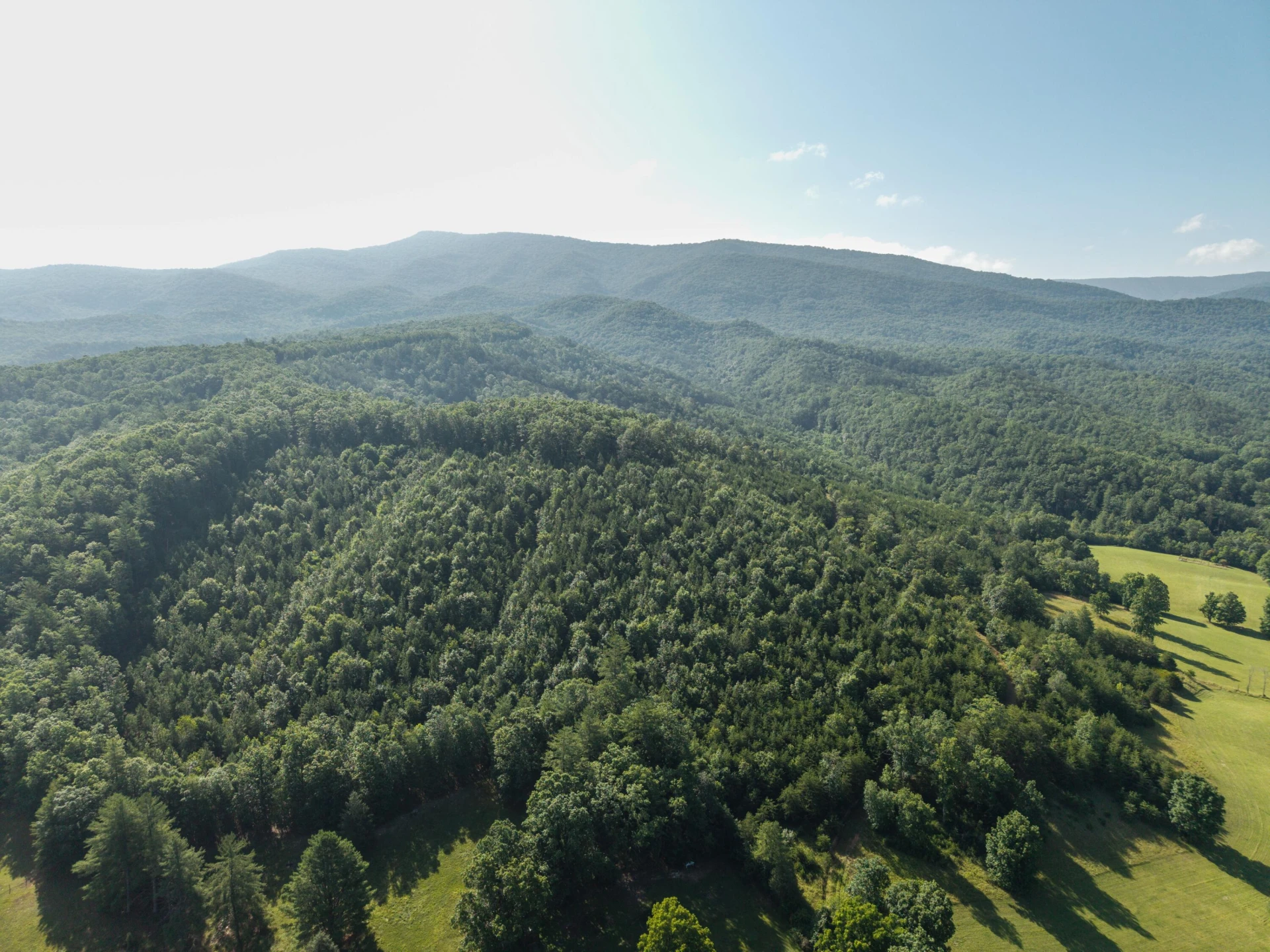 0 Blue Spring Run Rd - Photo 5