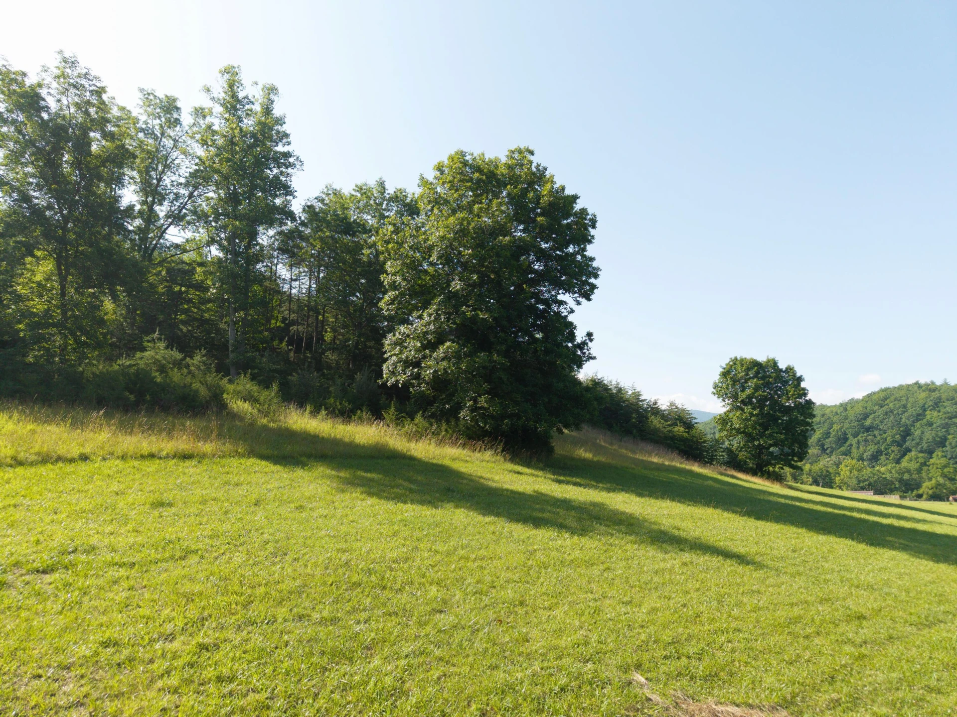 0 Blue Spring Run Rd - Photo 7