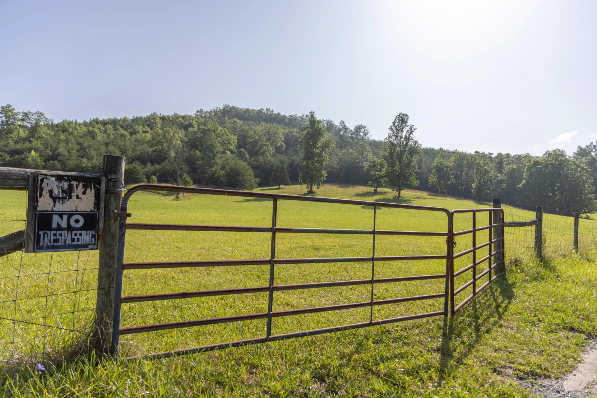 0 Blue Spring Run Rd - Photo 10