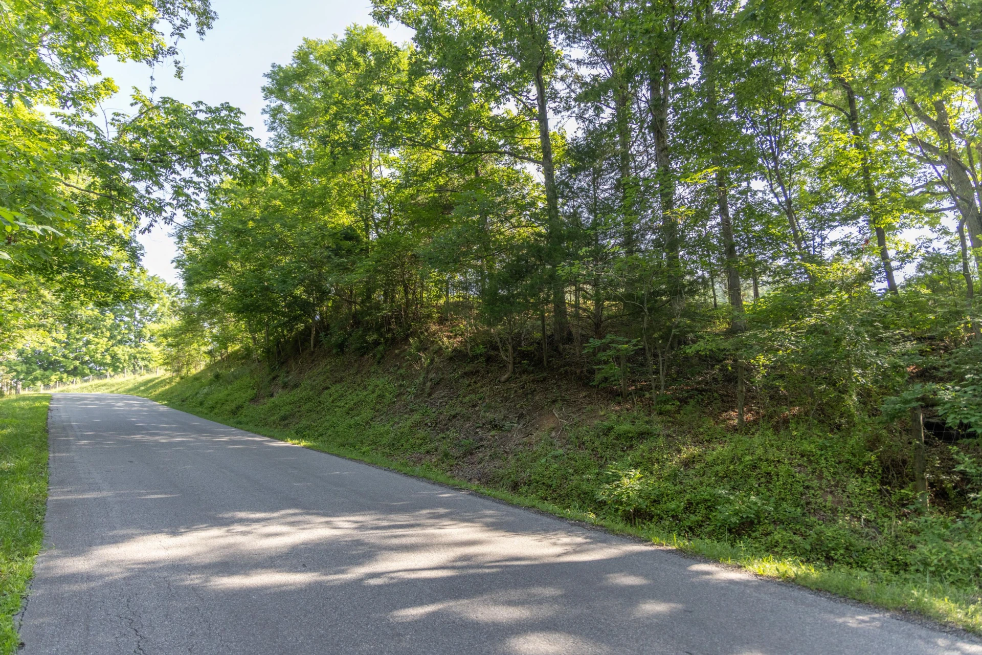 0 Blue Spring Run Rd - Photo 11