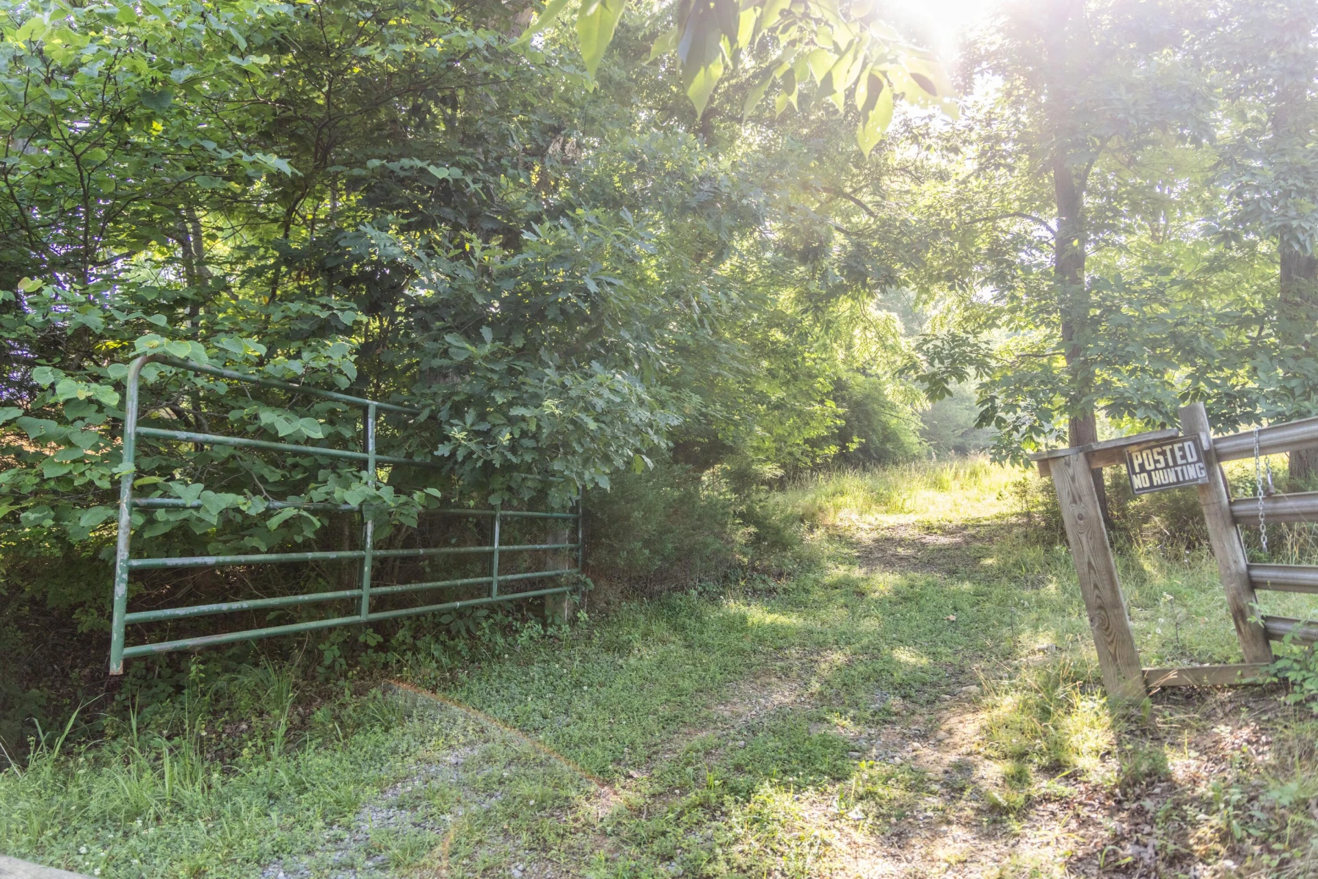 0 Blue Spring Run Rd - Photo 12