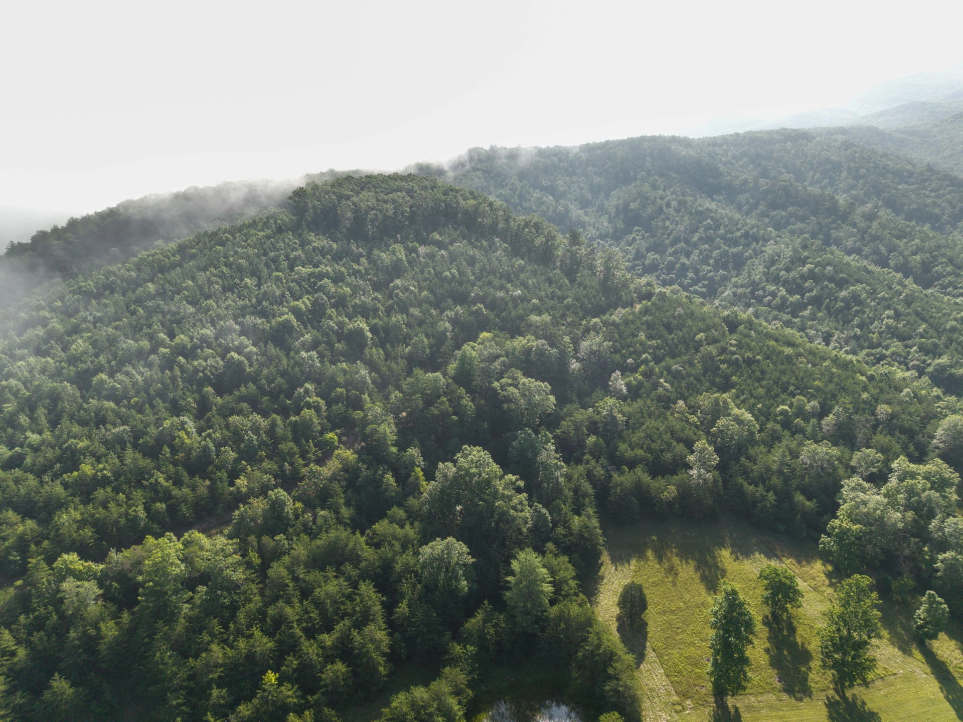 0 Blue Spring Run Rd - Photo 13