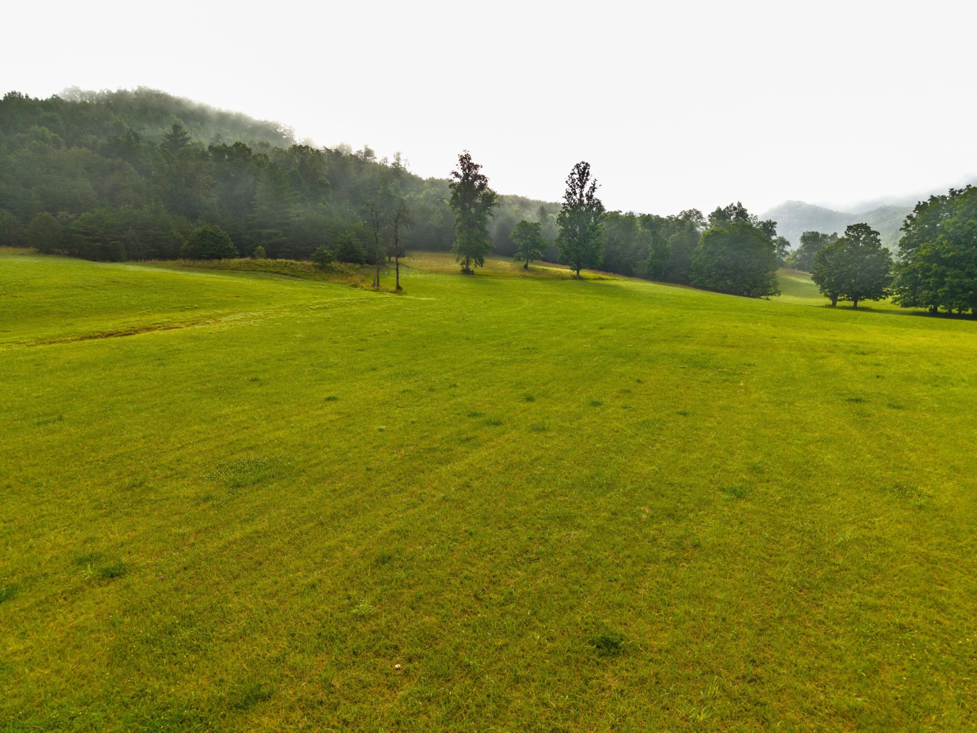 0 Blue Spring Run Rd - Photo 16