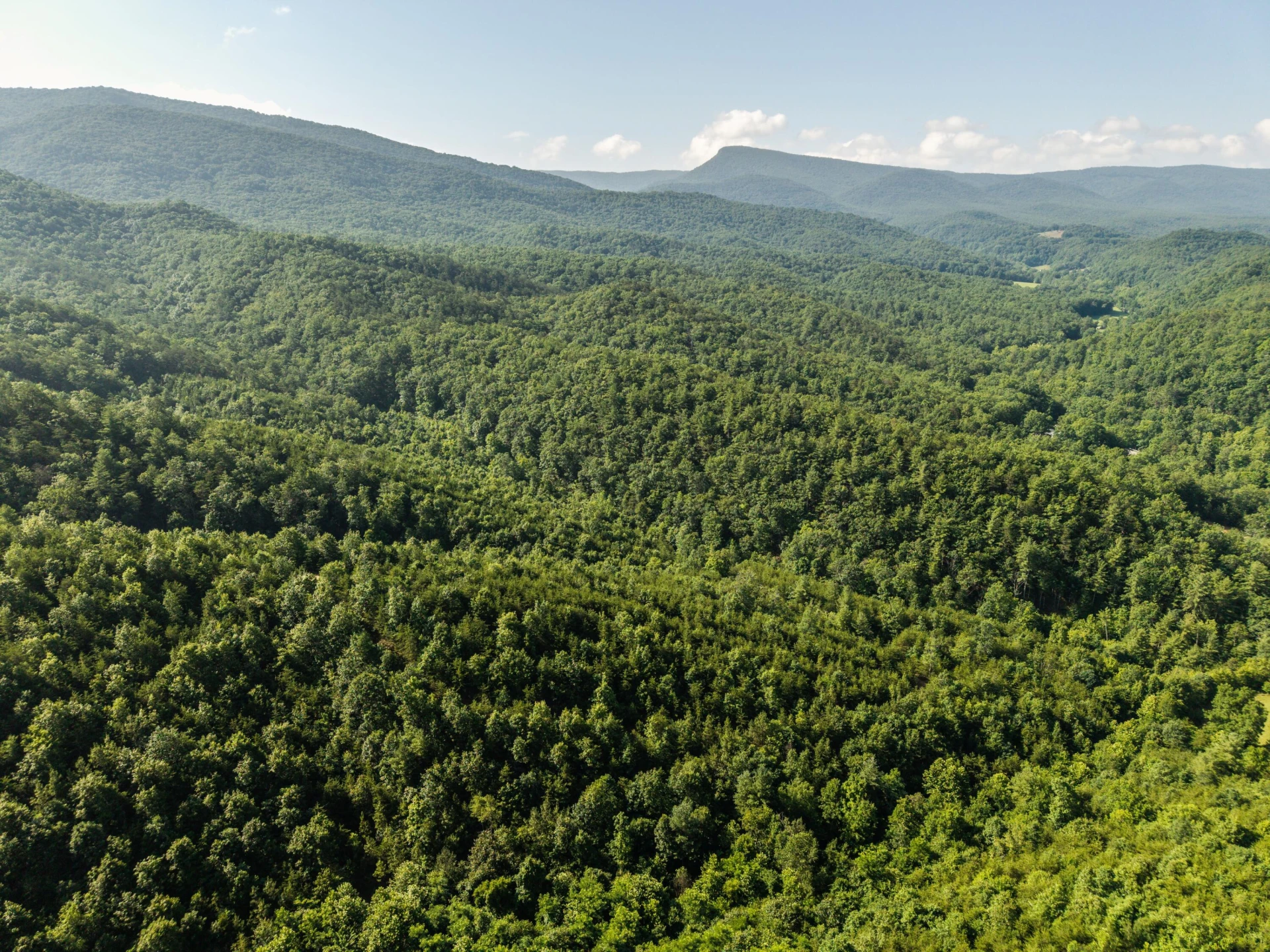 0 Blue Spring Run Rd - Photo 22