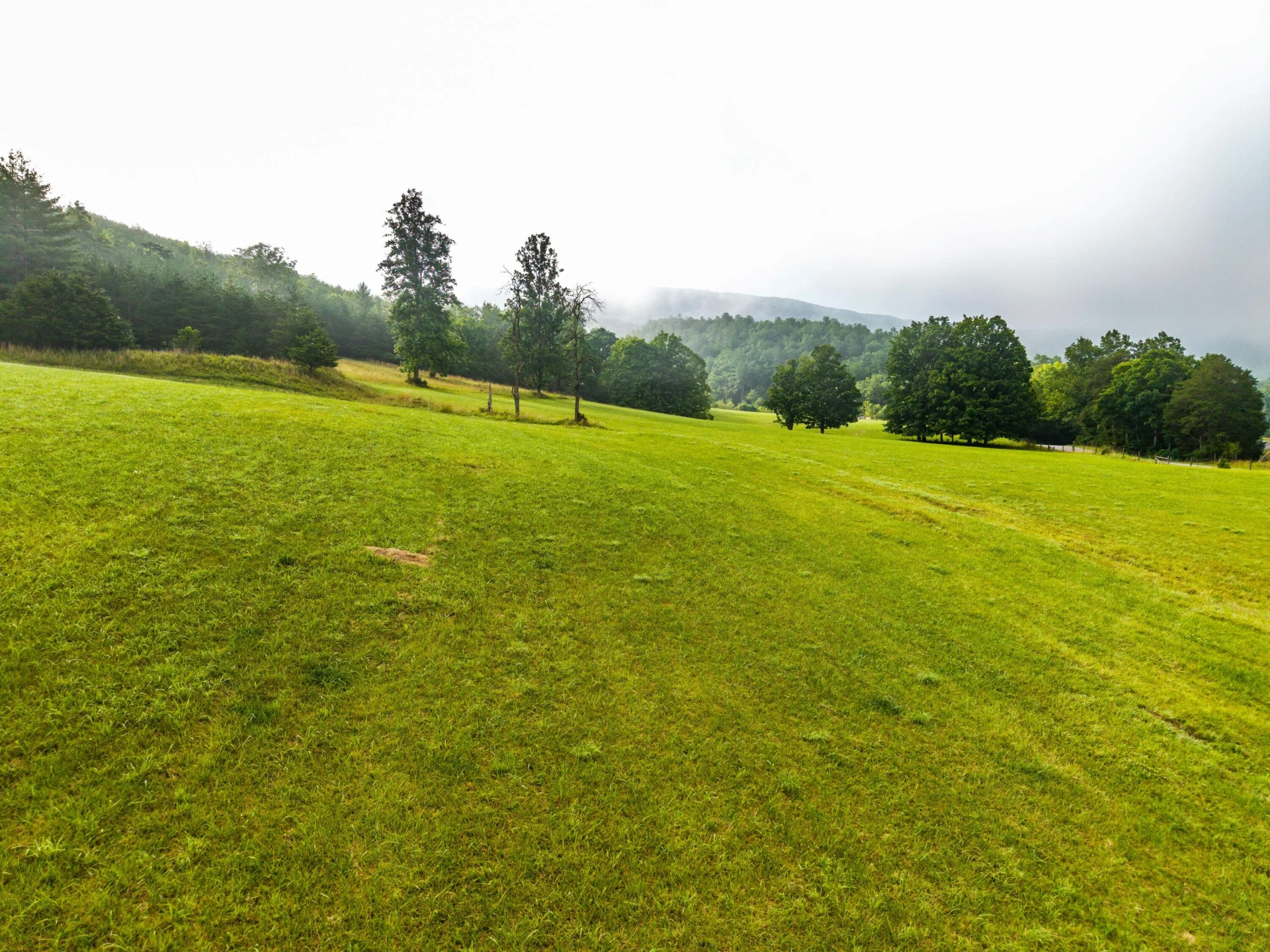 0 Blue Spring Run Rd - Photo 25