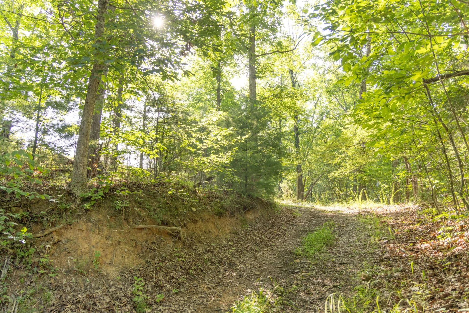 0 Blue Spring Run Rd - Photo 29