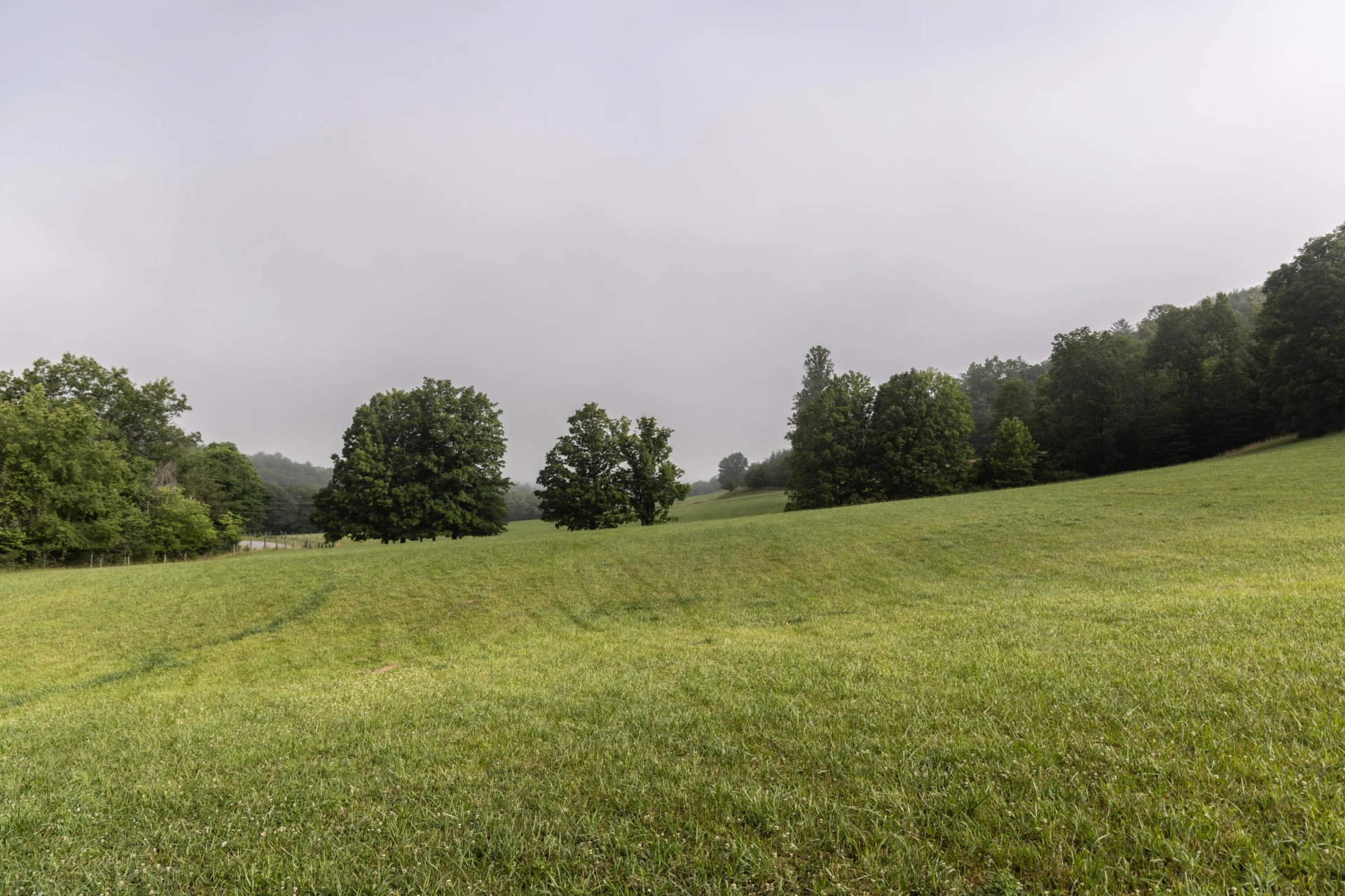 0 Blue Spring Run Rd - Photo 39