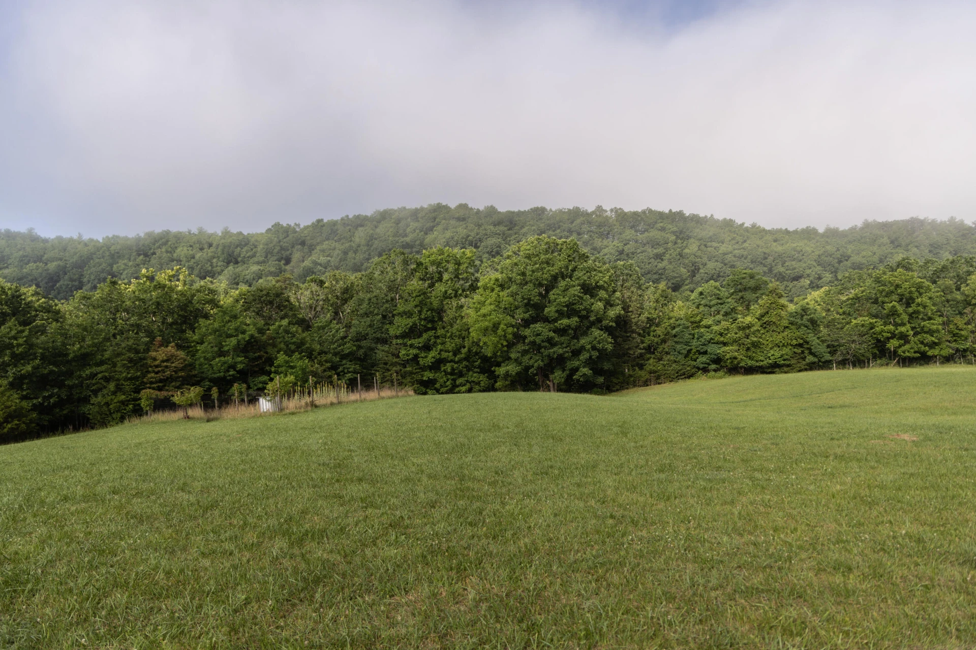 0 Blue Spring Run Rd - Photo 40
