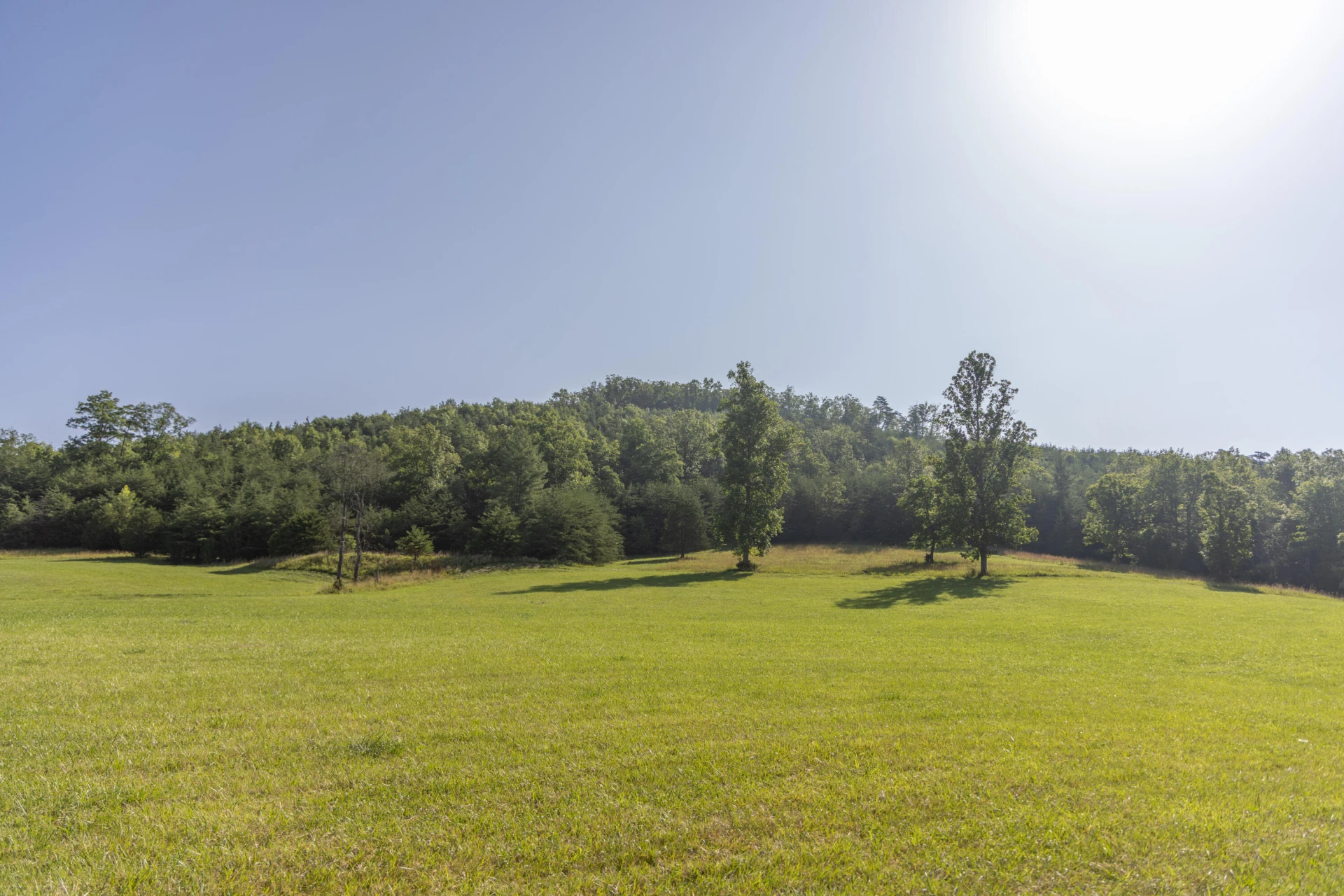0 Blue Spring Run Rd - Photo 44