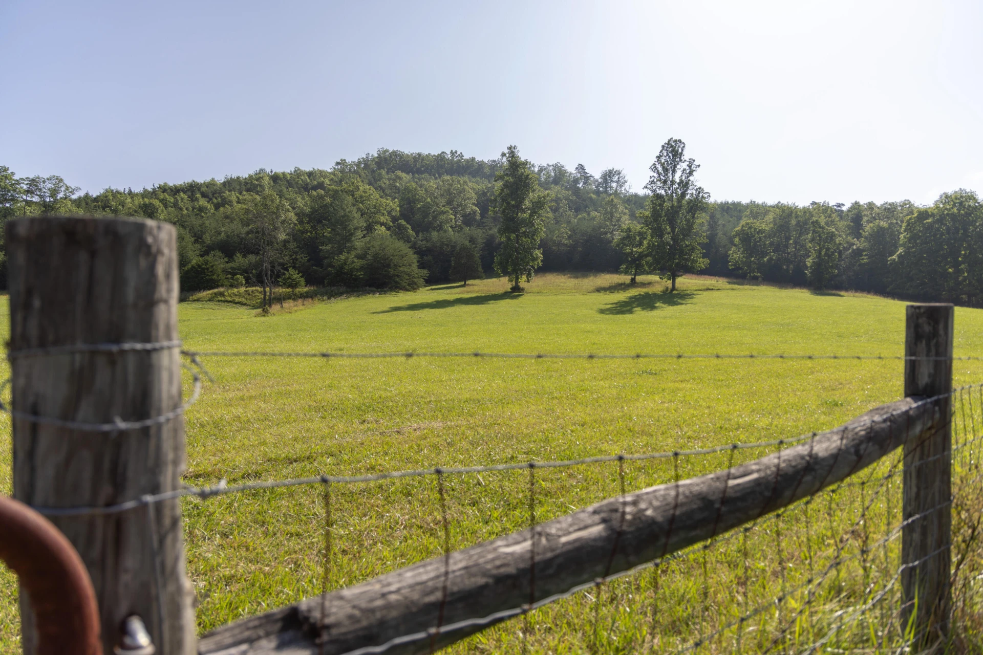 0 Blue Spring Run Rd - Photo 46