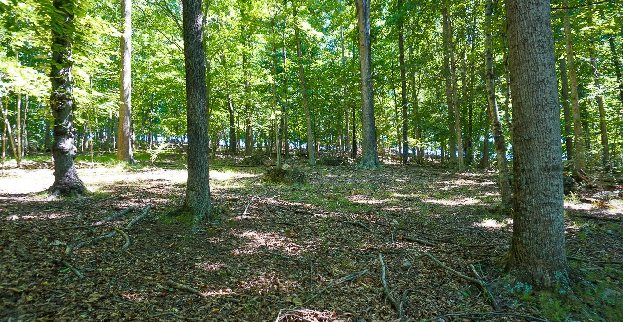 2.9 Acres W OAKS Dr - Photo 2
