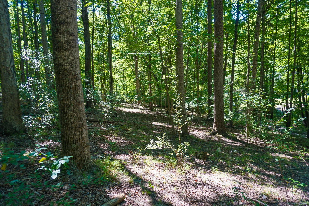 2.9 Acres W OAKS Dr - Photo 3