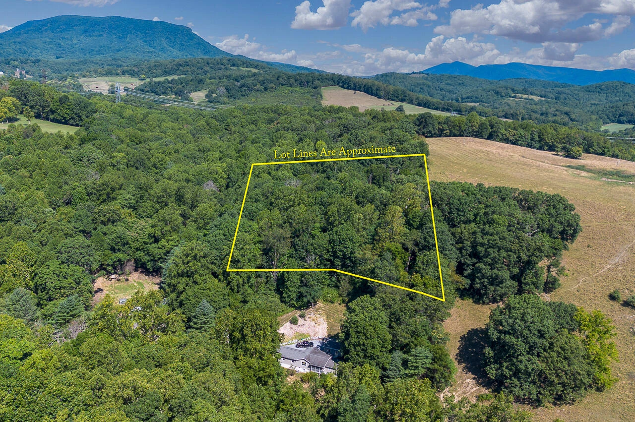 2.9 Acres W OAKS Dr - Photo 4