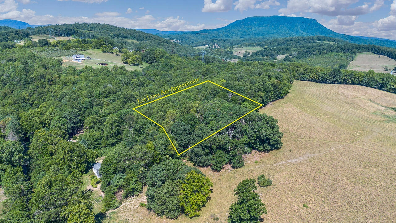 2.9 Acres W OAKS Dr - Photo 6