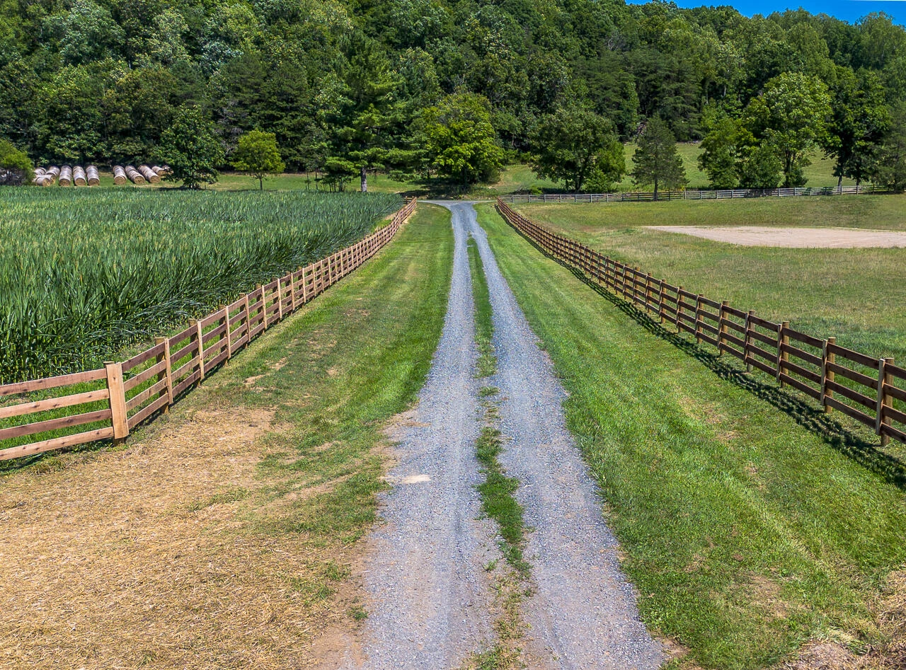 504 Springbranch Rd - Photo 3