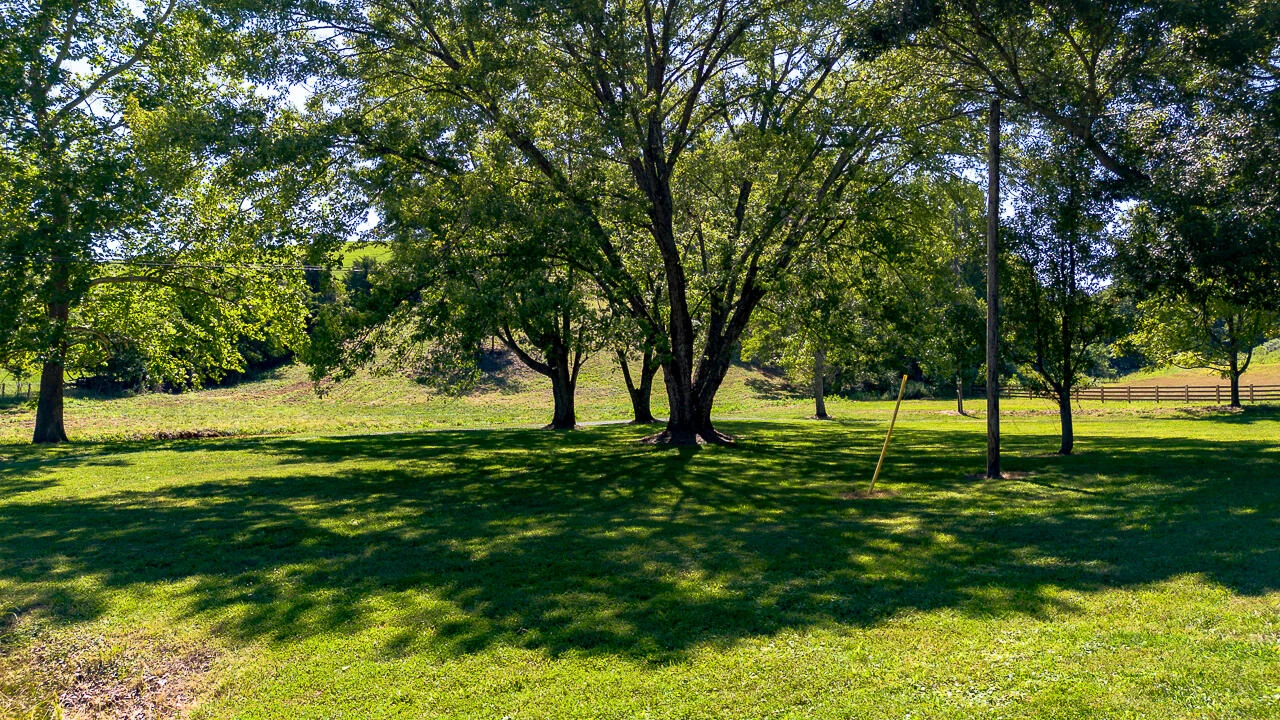 504 Springbranch Rd - Photo 55