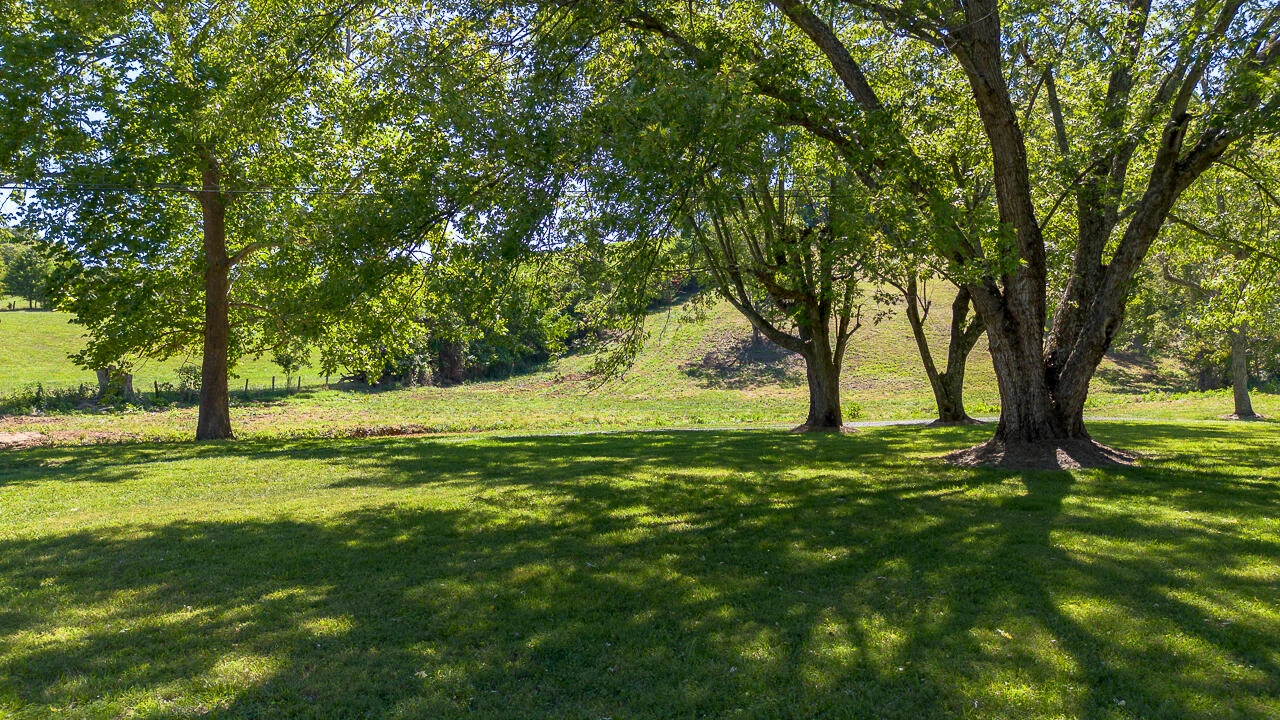 504 Springbranch Rd - Photo 57