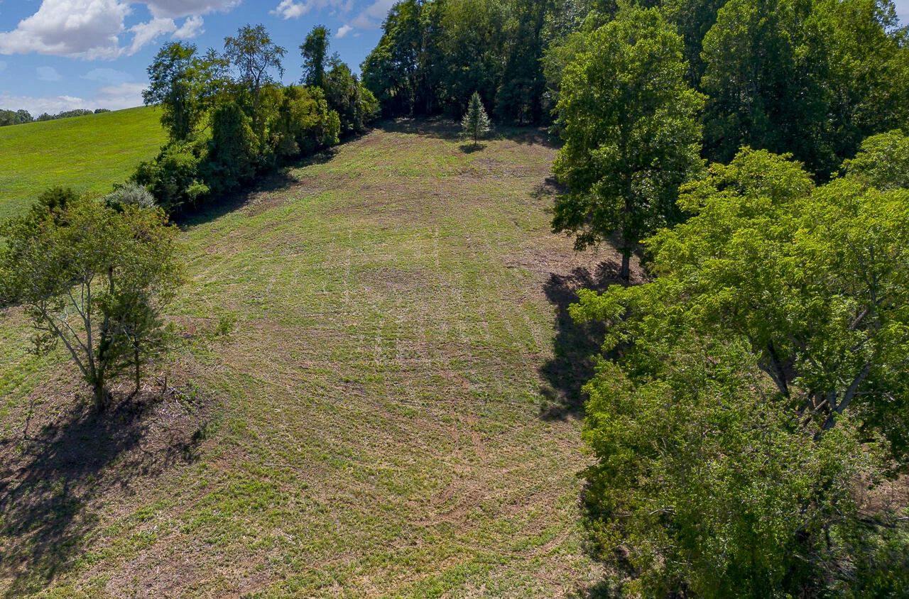504 Springbranch Rd - Photo 61