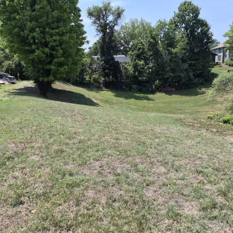 307 PEYTON St, Lexington, VA, 24450