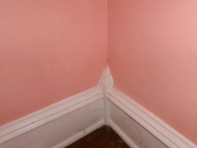 405 N Bath Ave - Photo 21