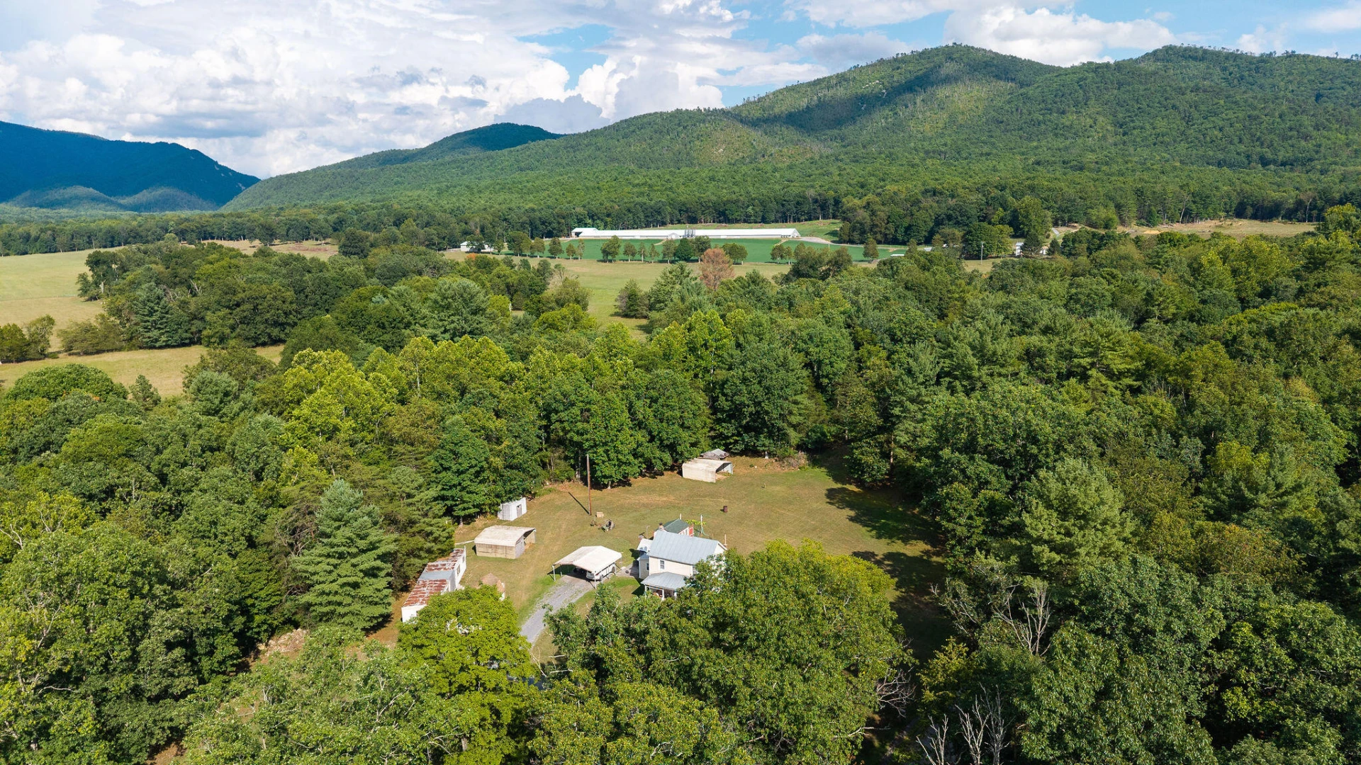 48 Fauver Mine Ln - Photo 53