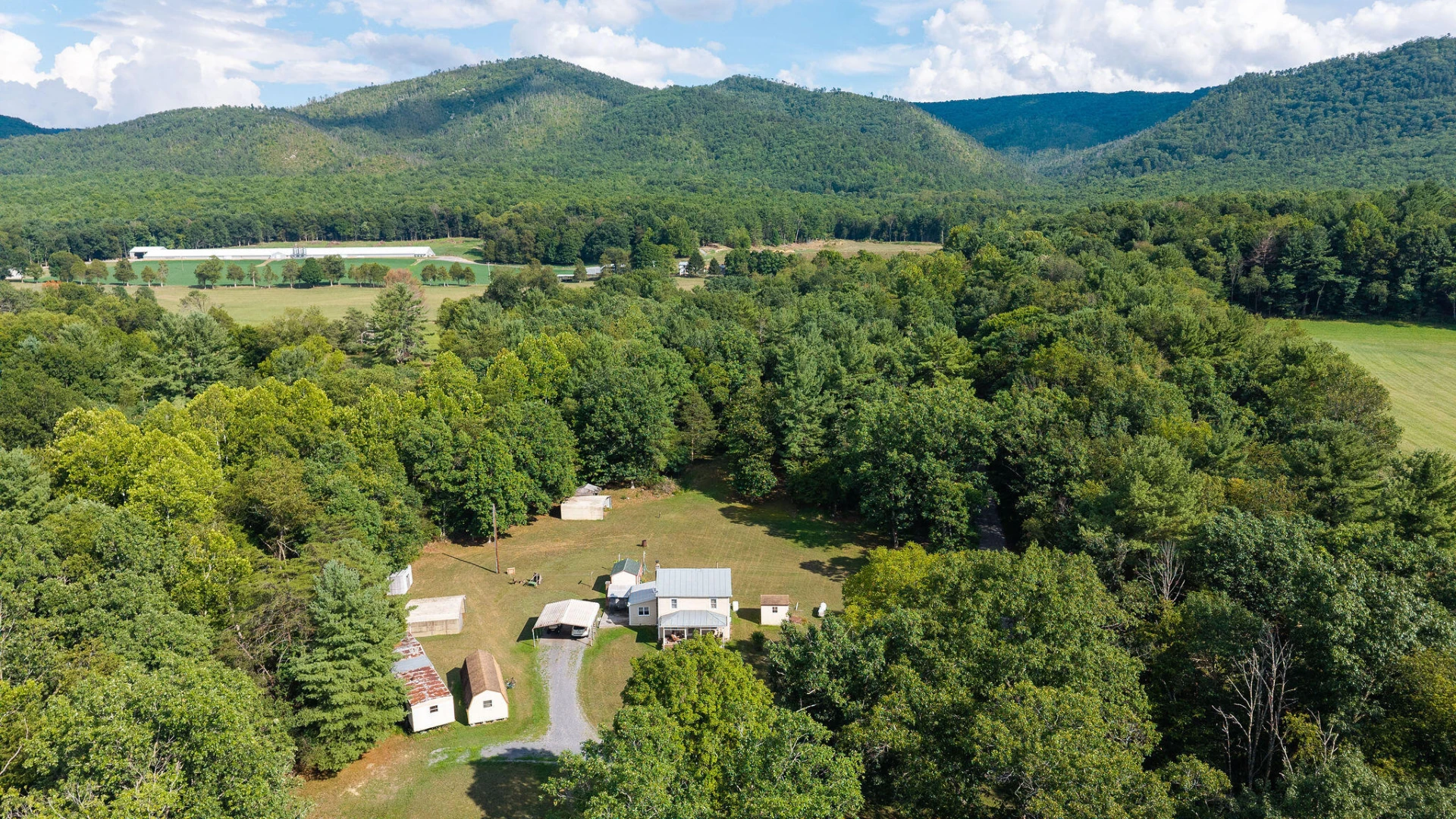 48 Fauver Mine Ln - Photo 54