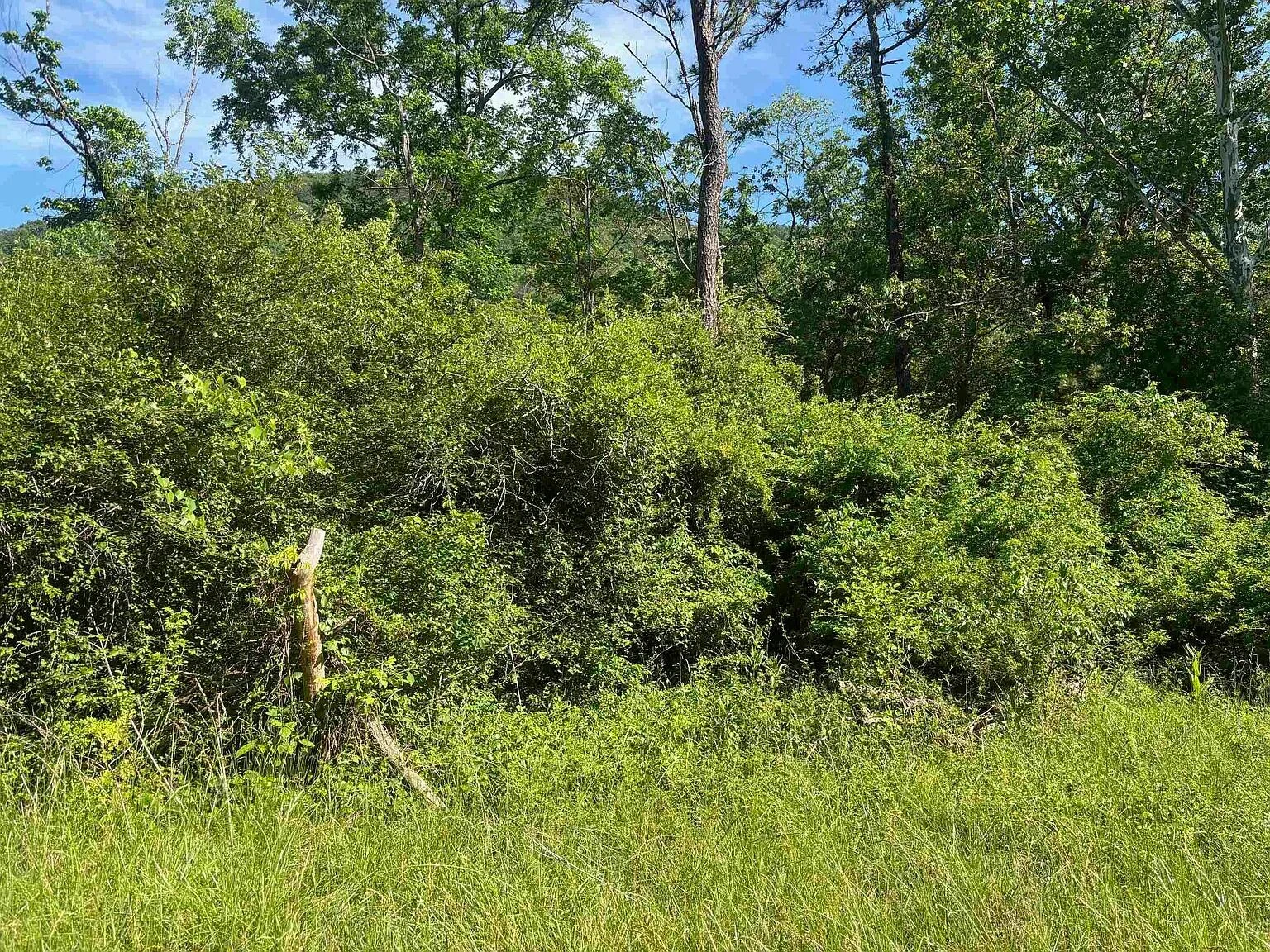 TBD 1.99 Parkersburg Tpke - Photo 2