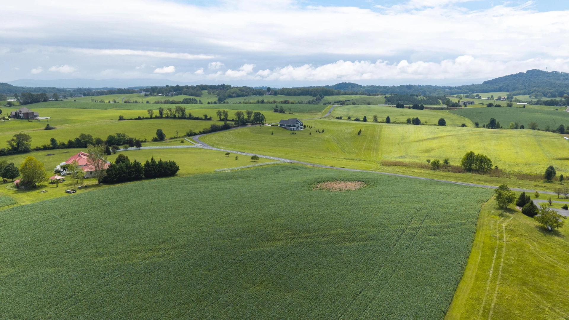 TBD 19.91 Acres Estate Ln - Photo 3
