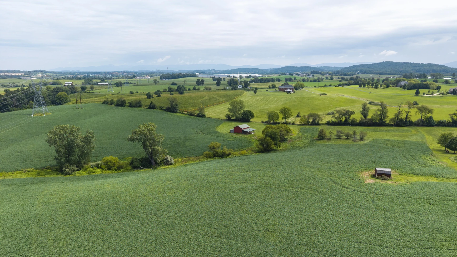 TBD 19.91 Acres Estate Ln - Photo 4