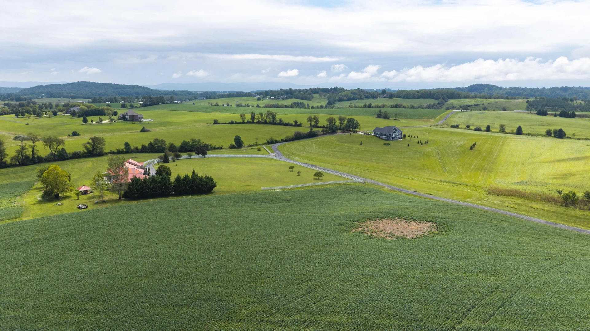 TBD 19.91 Acres Estate Ln - Photo 6