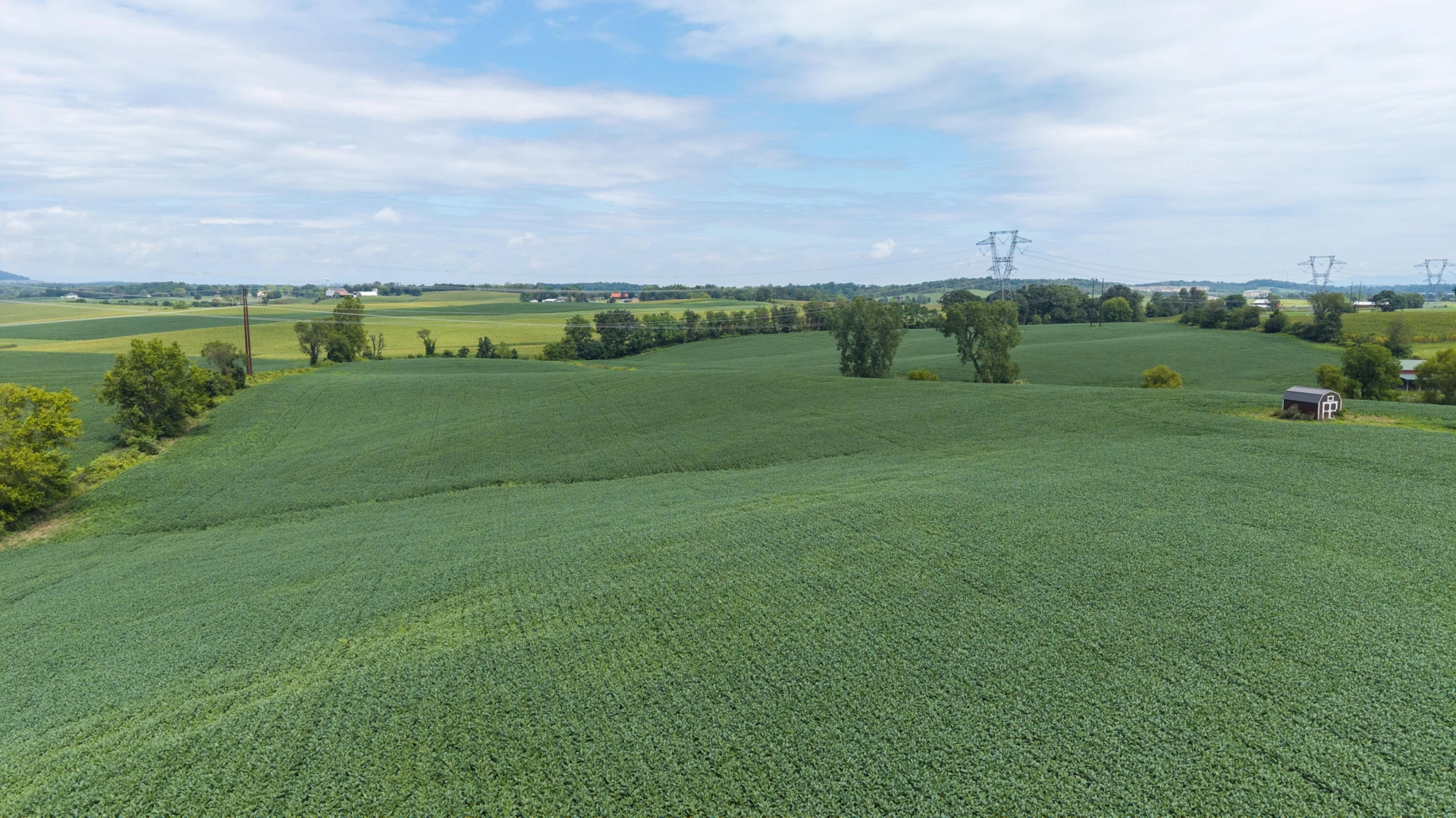 TBD 19.91 Acres Estate Ln - Photo 7