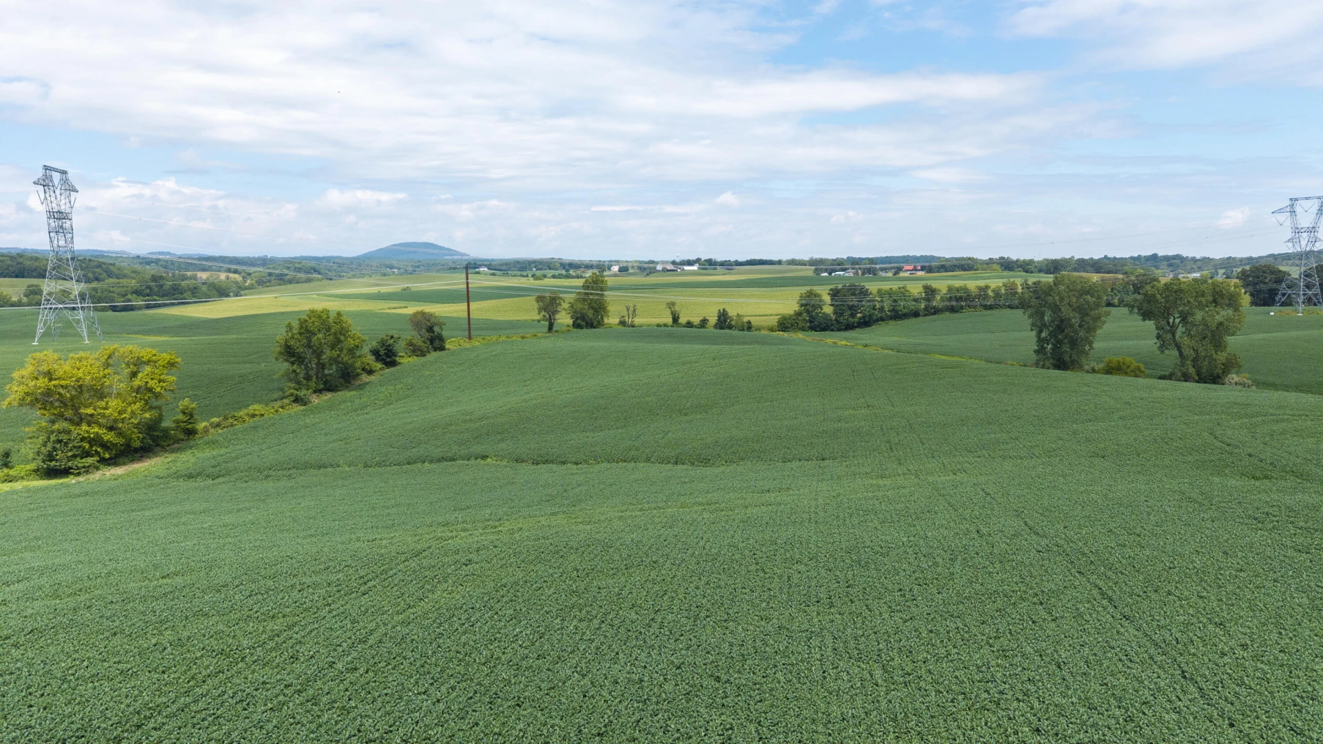 TBD 19.91 Acres Estate Ln - Photo 8