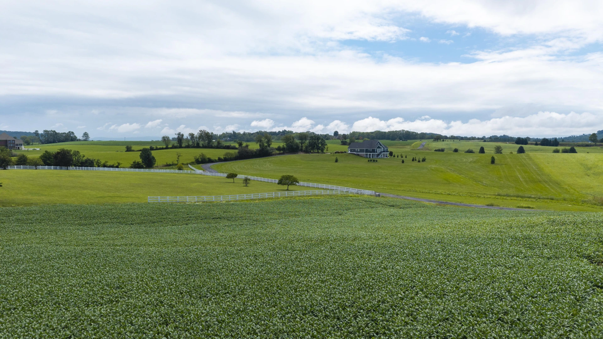 TBD 19.91 Acres Estate Ln - Photo 9