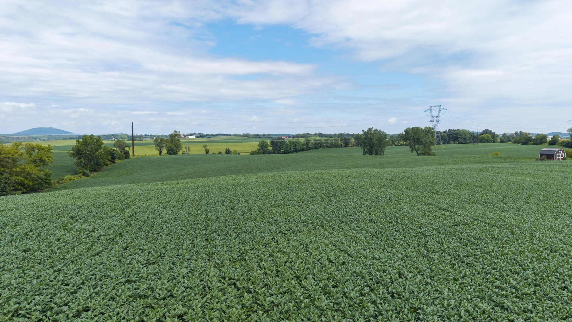 TBD 19.91 Acres Estate Ln - Photo 11