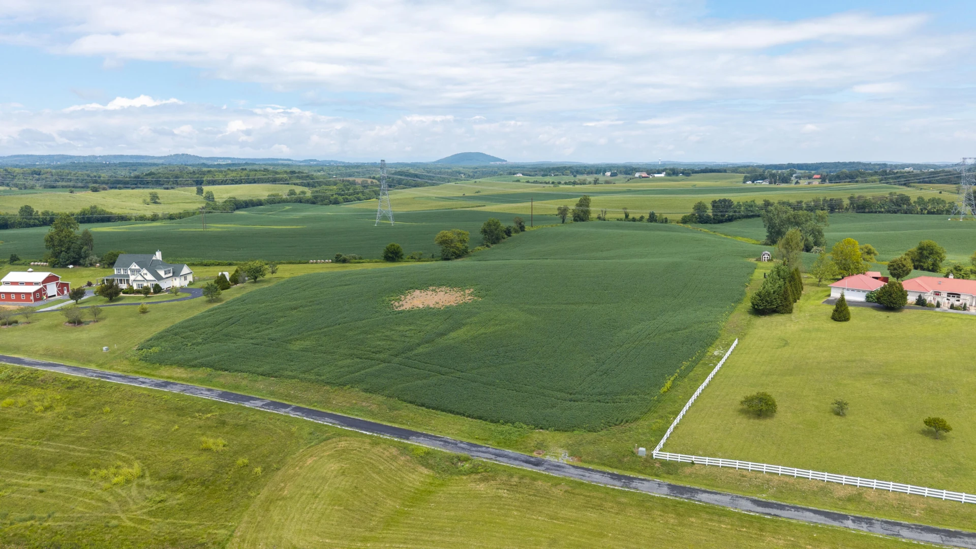 TBD 19.91 Acres Estate Ln - Photo 16